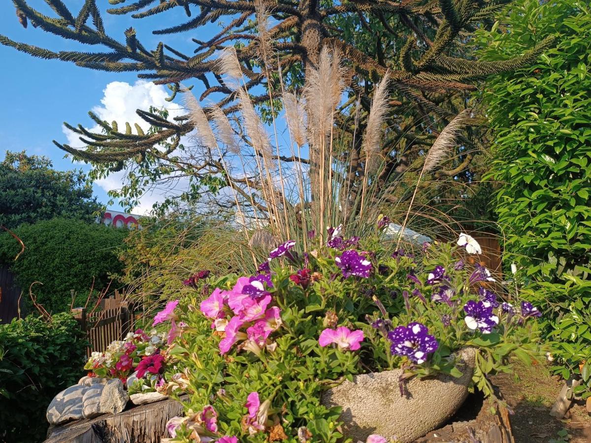 B&B Il Tulipano 科莫 外观 照片