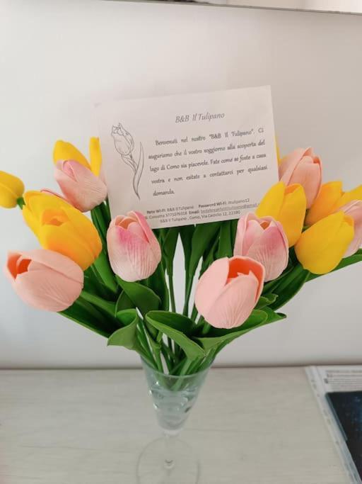 B&B Il Tulipano 科莫 外观 照片